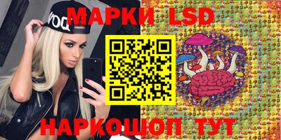 стаф Камышлов