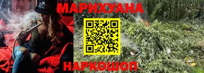 стаф Камышлов