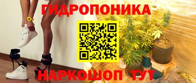 стаф Камышлов