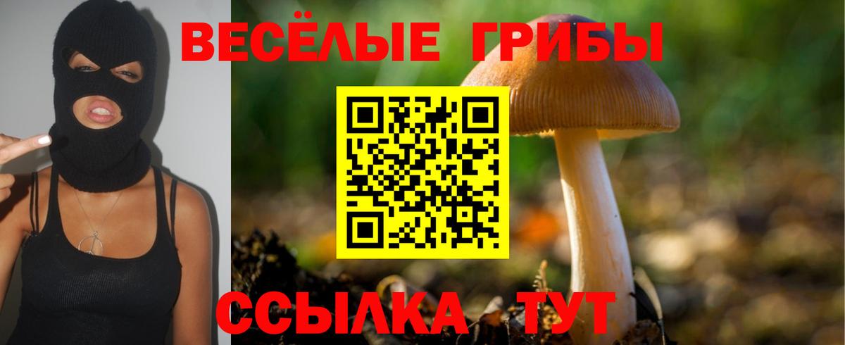 Кудрово  Галлюциногенные грибы MAGIC MUSHROOMS  Псилоцибиновые грибы мухоморы  Вход с VPN 